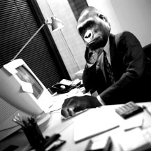 gorillabusinessman.jpg