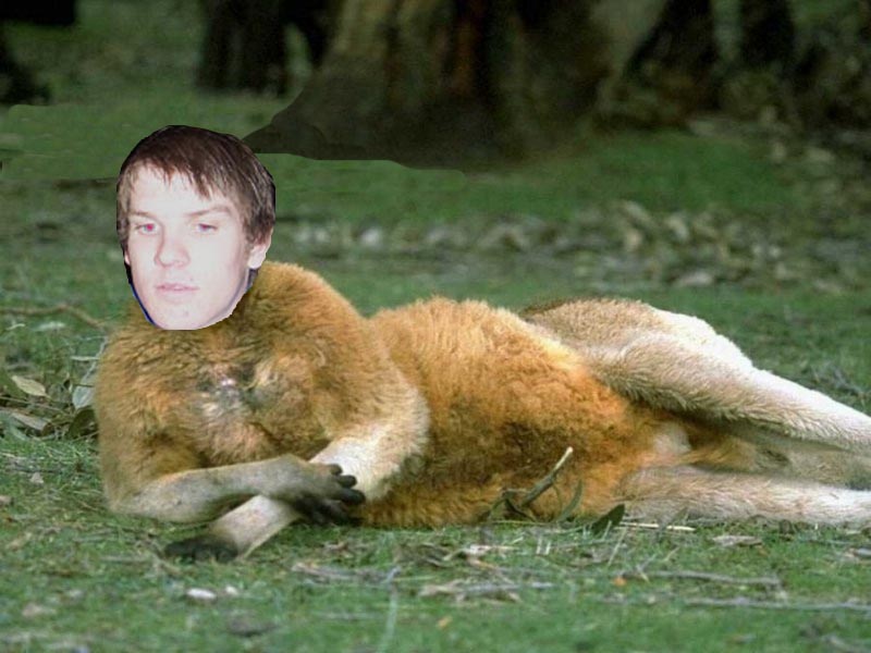 kangaroo.jpeg